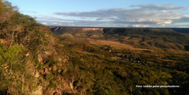 preservação ambiental