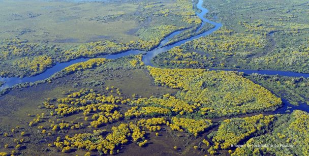 Pantanal