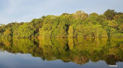 Estudo comprova que nações ricas dependem da biodiversidade de países em desenvolvimento