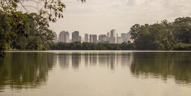 áreas verdes