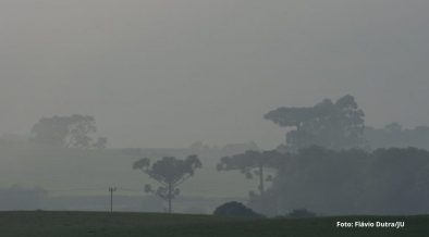 Desmatamento cresce nas regiões próximas a estradas no Brasil, diz pesquisa
