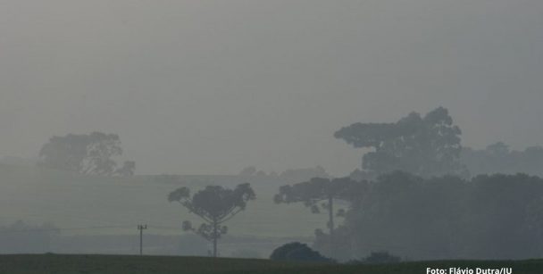 Desmatamento cresce nas regiões próximas a estradas no Brasil, diz pesquisa