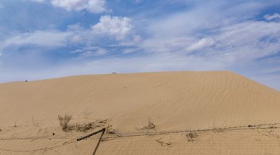 desertificação