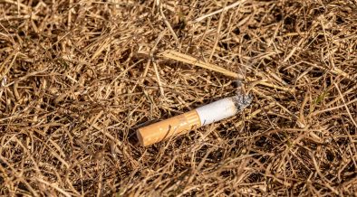 Bituca_cigarro